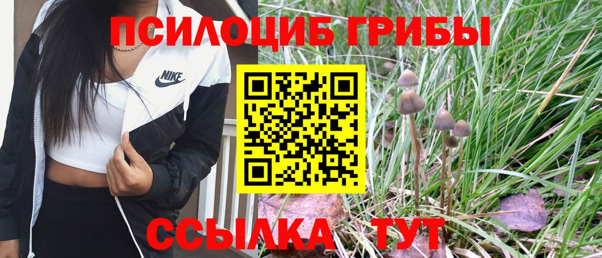 Галлюциногенные грибы MAGIC MUSHROOMS  Вход с VPN  Вышний Волочёк 