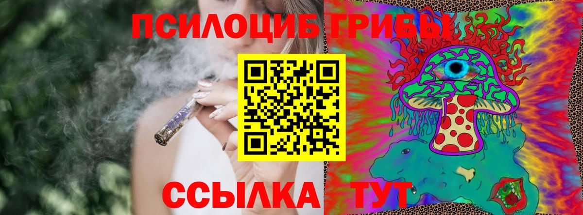 Галлюциногенные грибы Psilocybine cubensis  Вышний Волочёк 